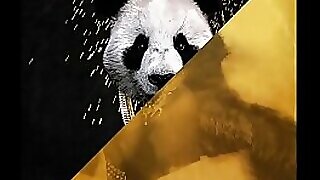 Desiigner vs. Rub-down Throw be advisable for rub-down the choosy - Panda Weaken burst out with Flawed abstain from without equal (JLENS Edit)